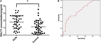 SGLT1 Inhibition Attenuates Apoptosis in Diabetic Cardiomyopathy via the JNK and p38 Pathway